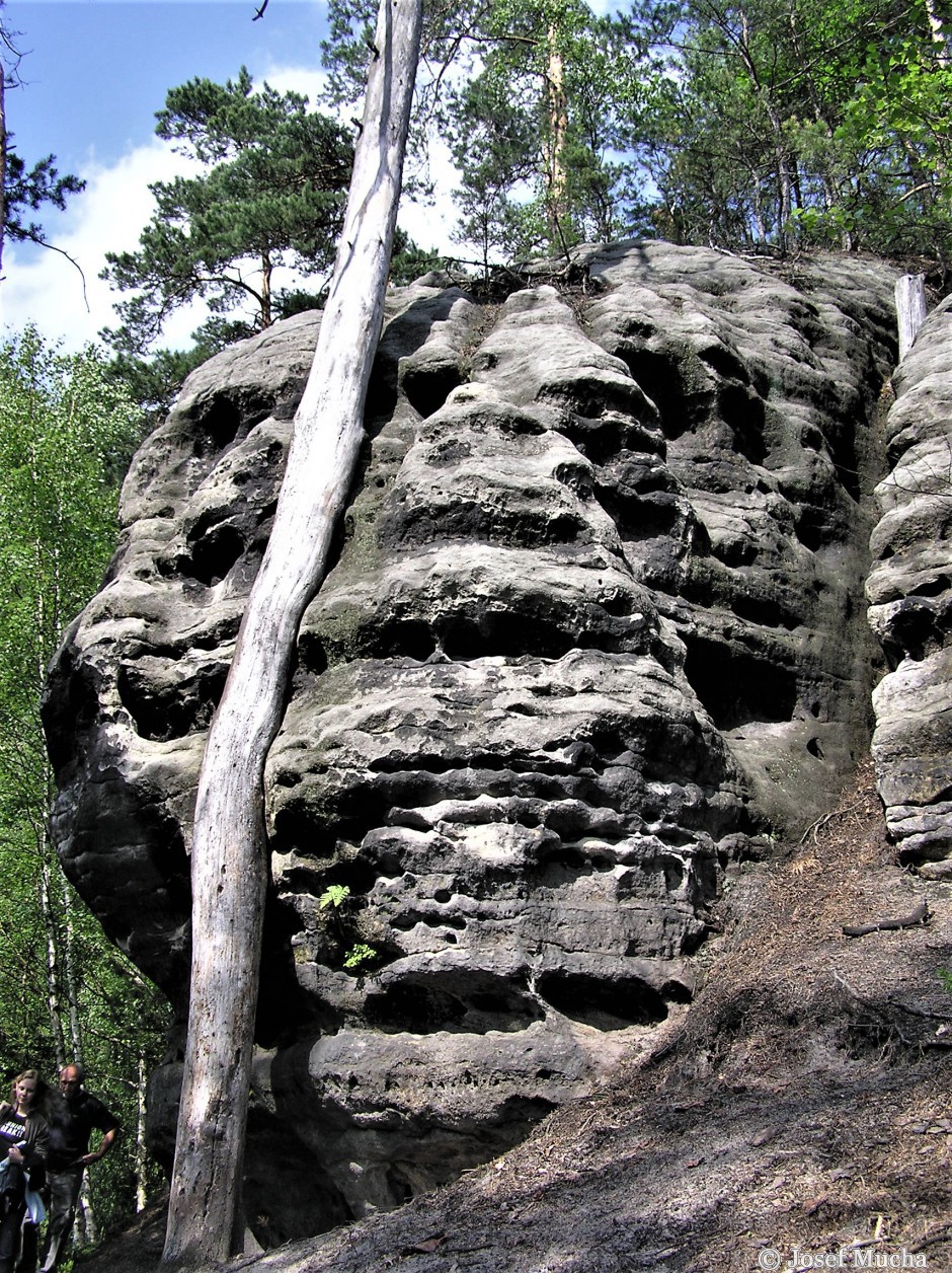 Malá Pravčická brána - skalní útvary v okolí brány, je na nich vidět proces selektivního zvětrávání různě pevných vrstev pískovců 